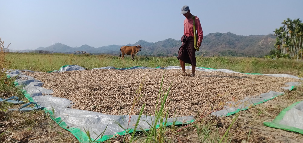 green journey , local NGO